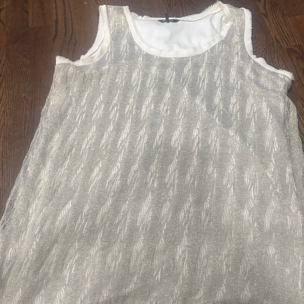 Daisy Fuentes Silver and White Dress